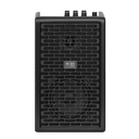 Amplificador De Gitarra Acustica Acus Oneforstrings 4Ferdi Bk