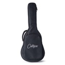 Gig Bag Carry On Co-Mini-A-Gt-Gb