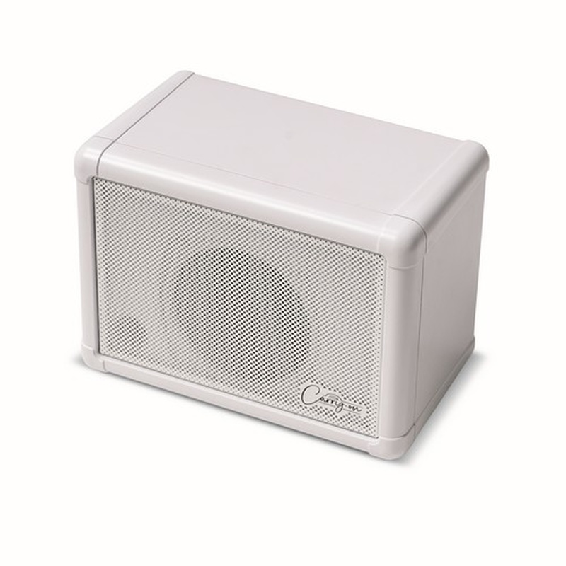 Amplificador Combo Carry On Co-Speaker-Ext Mini Extension Speaker