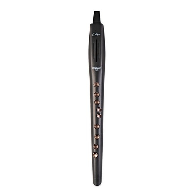 Controlador De Instrumento Midi Carry On Co-Dwi2Plus Bk