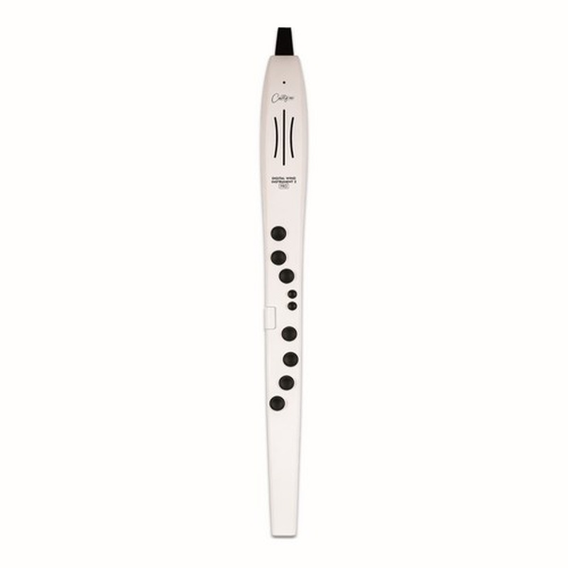 Instrumento De Viento Digital Carry On Dwi2Pro Wh