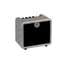 Amplificador De Guitarra Eléctrica Ortega Ptwo-E