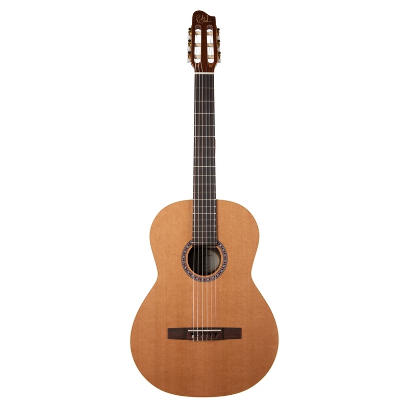 Guitarra Acustica Godin Collection