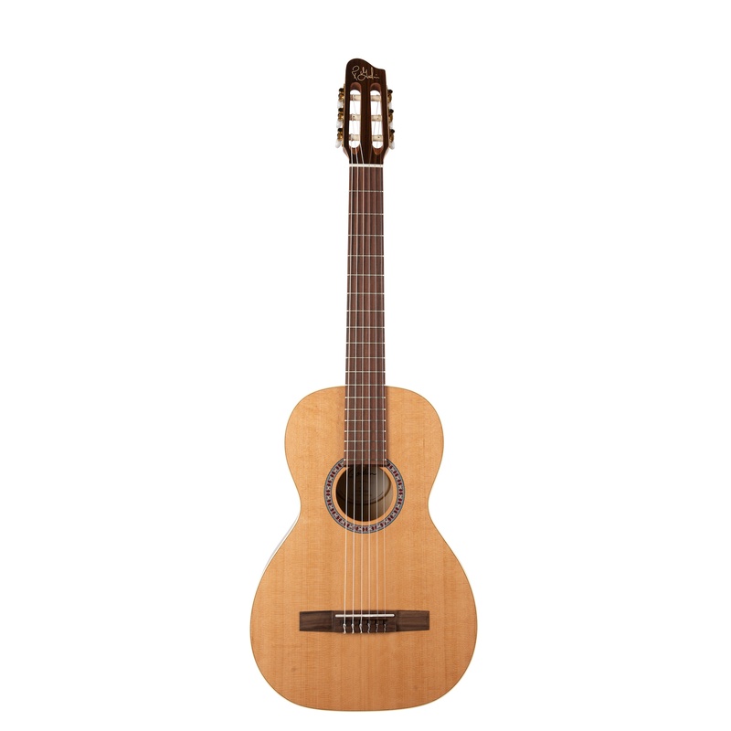 Guitarra Acustica Godin Motif
