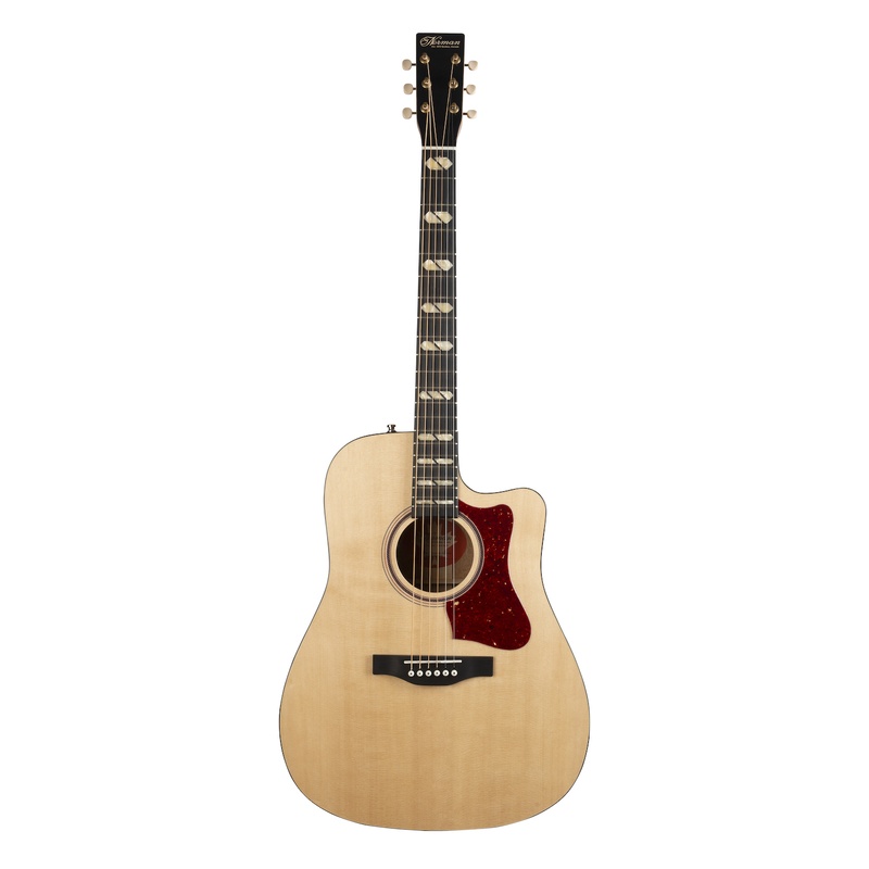 Guitarra Acústica Norman St40 Element