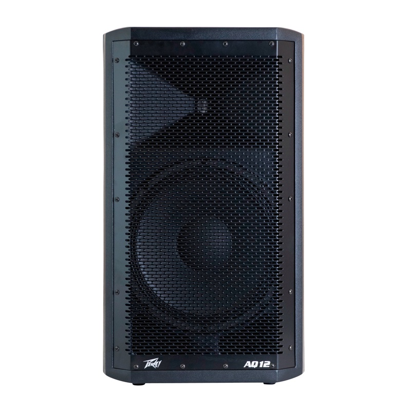 Monitor Peavey Aq-12