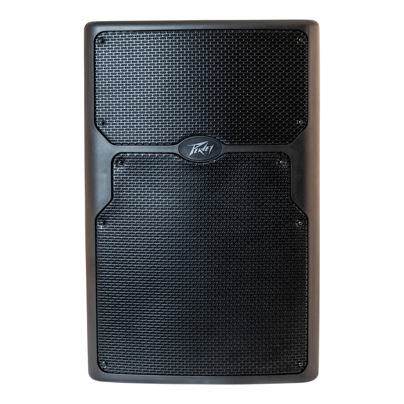 Altaviso Peavey Pvx P 15