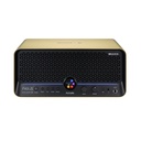 Amplificador Combo Mooer F40I Li Gold
