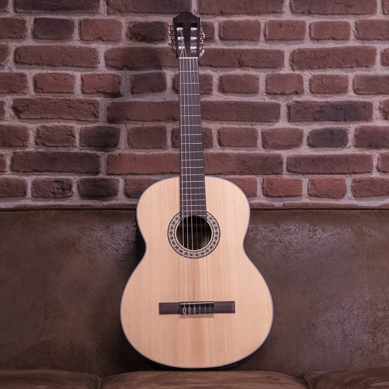 GUITARRA CLÁSICA WALDEN WAN550EW NATURA 500