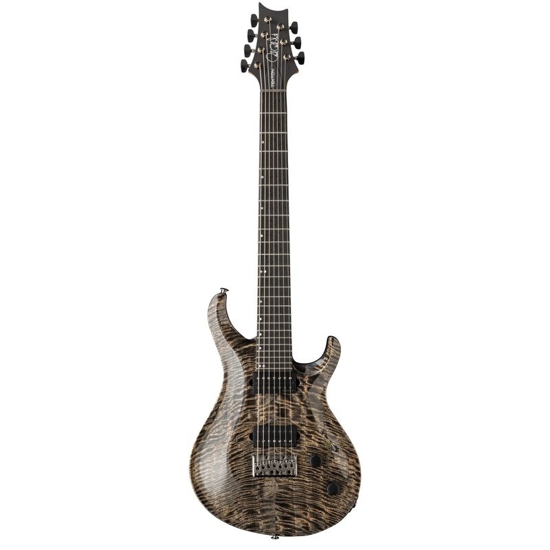 GUITARRA ELÉCTRICA PRS TEKTON SVN NAT NECK BK