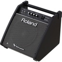 Monitor Roland Pm-100