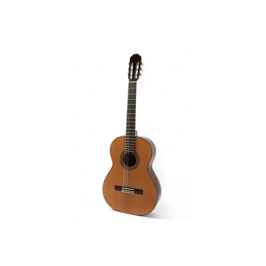Guitarra Raimundo Mod. 129 Cocobolo