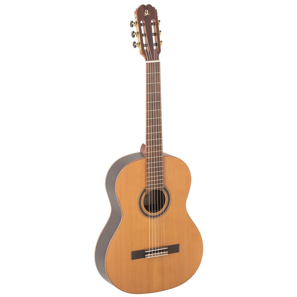 Guitarra Admira Irene