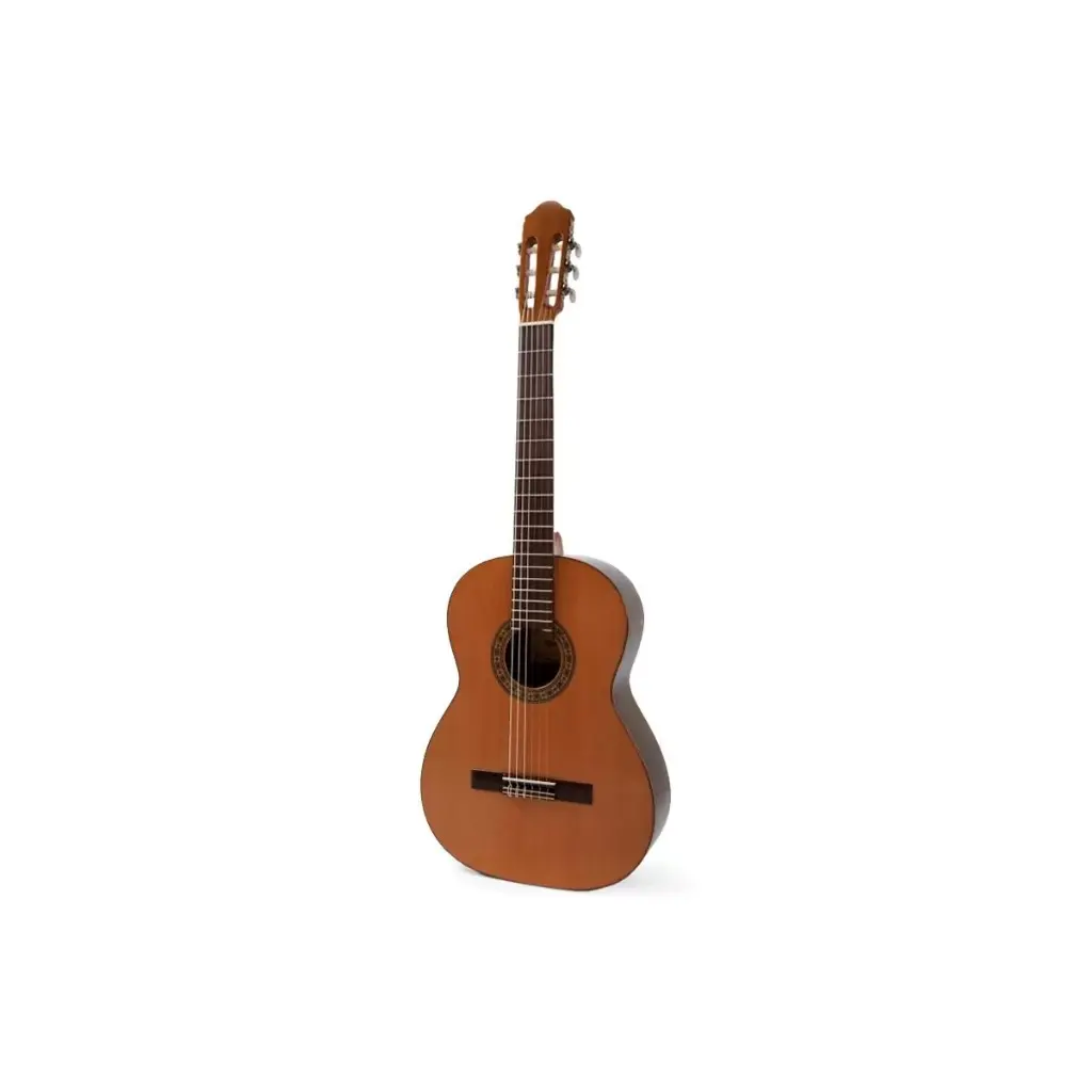 Guitarra Raimundo Mod. 123