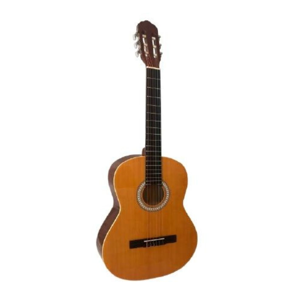 Guitarra Rocío 20