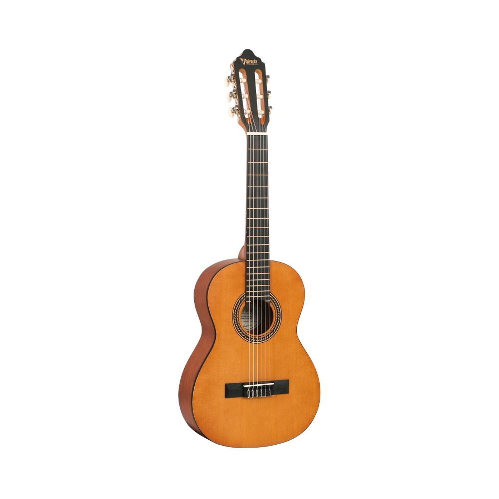 Guitarra Valencia Vc-202 Nat 1/2