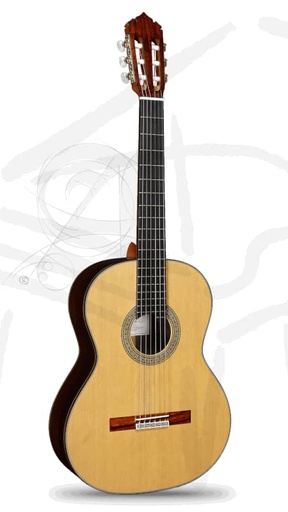Guitarra Alhambra M&M Serie Nt
