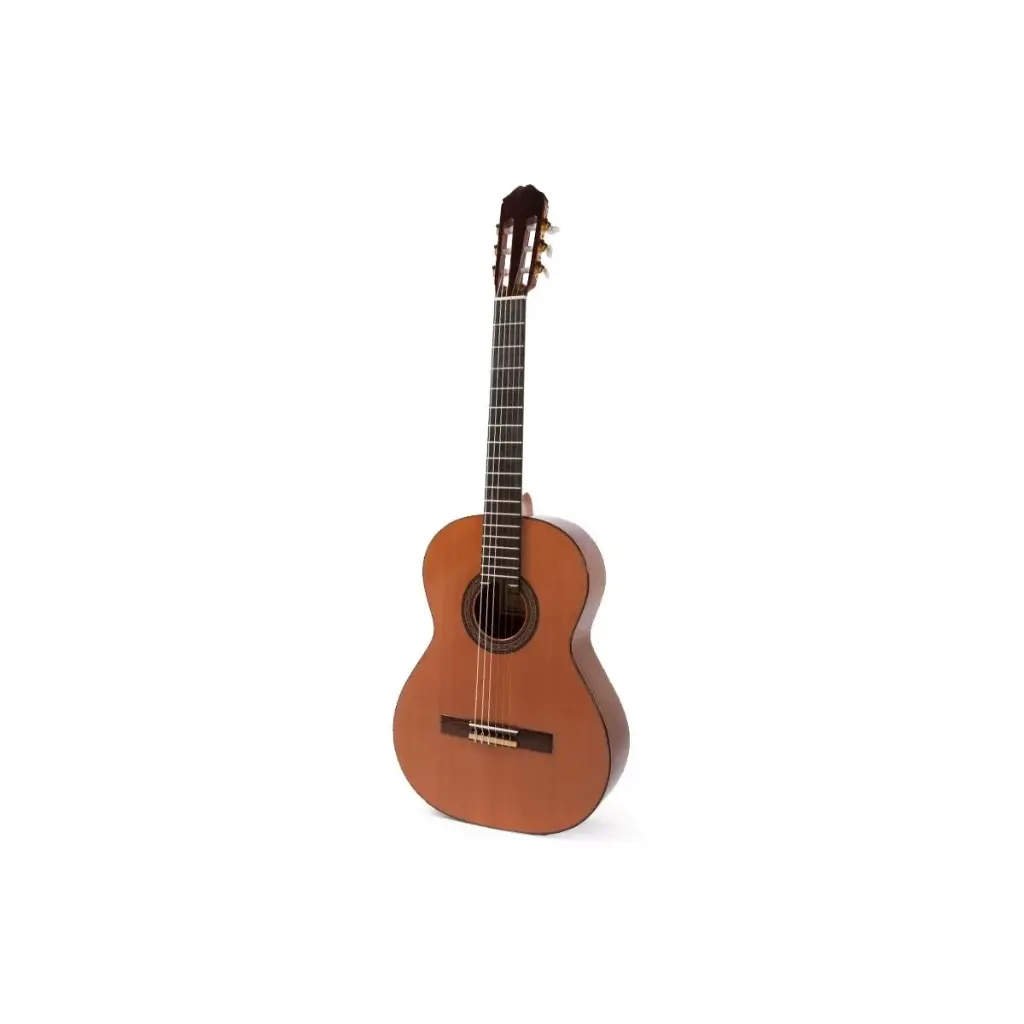 Guitarra Raimundo Mod. 136