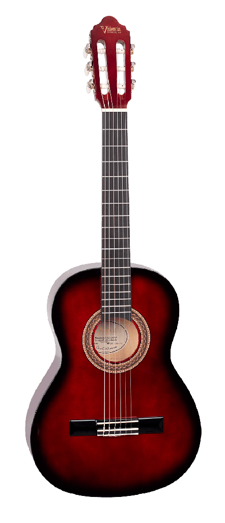 Guitarra Valencia Vc-103/Rds 3/4