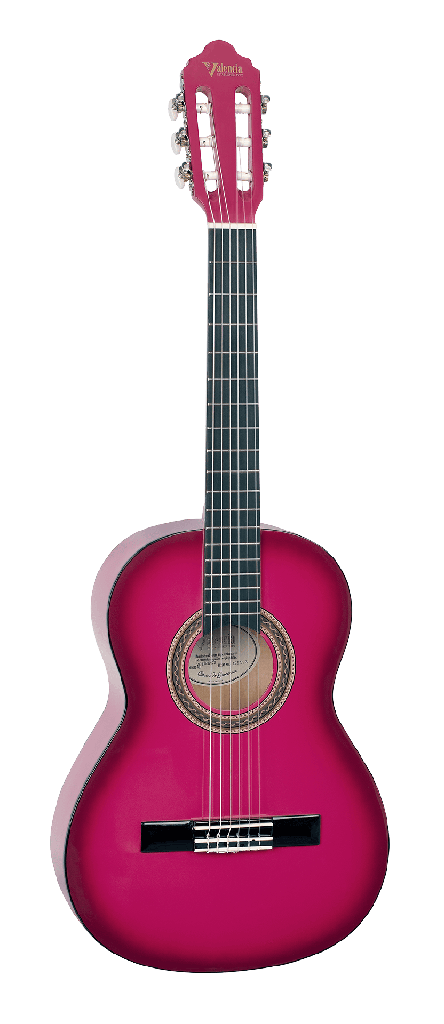 Guitarra Valencia Vc-103 Pks 3/4
