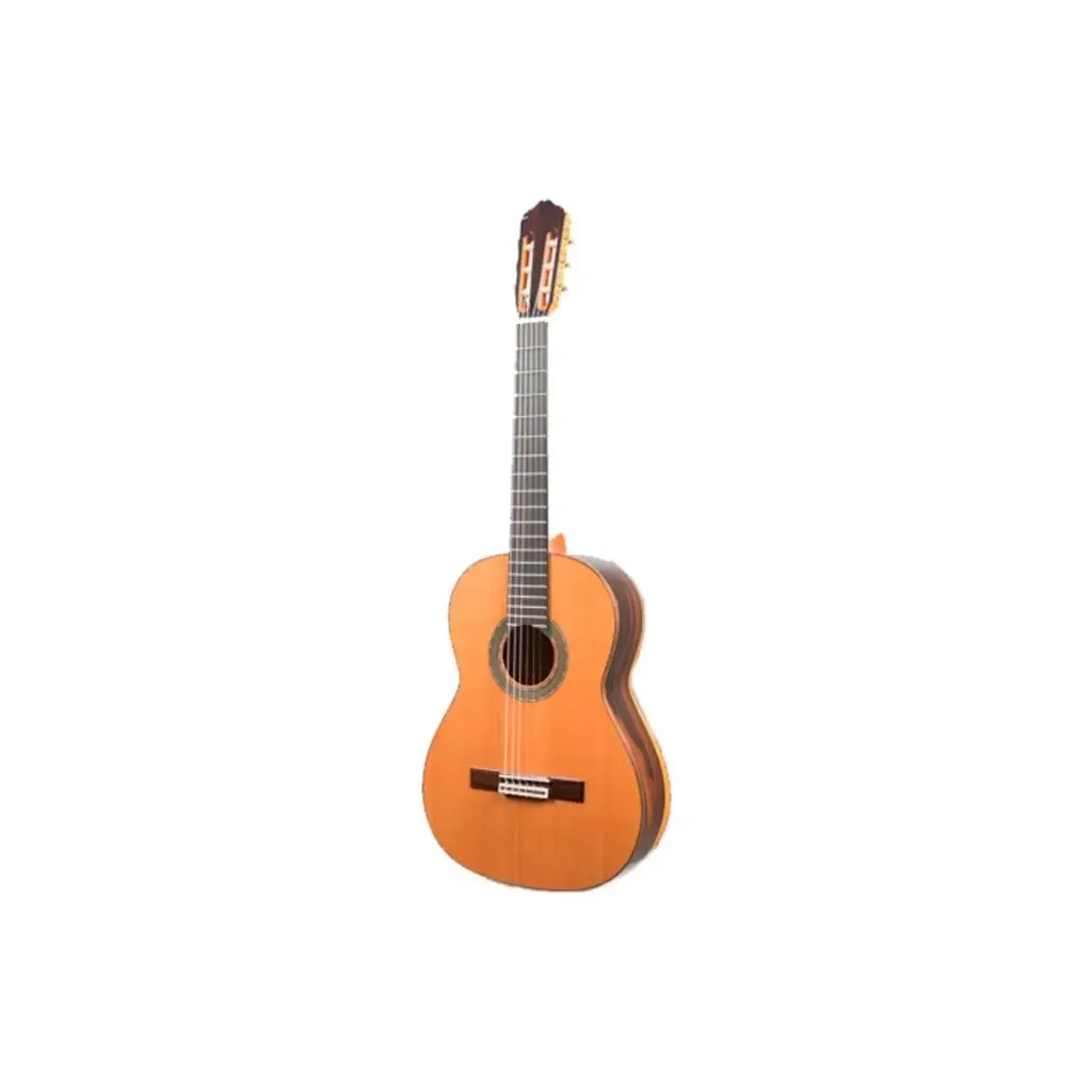 Guitarra Raimundo Mod. 131 Ziricote