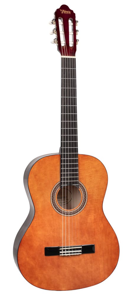 Guitarra Valencia Vc-104/Nat