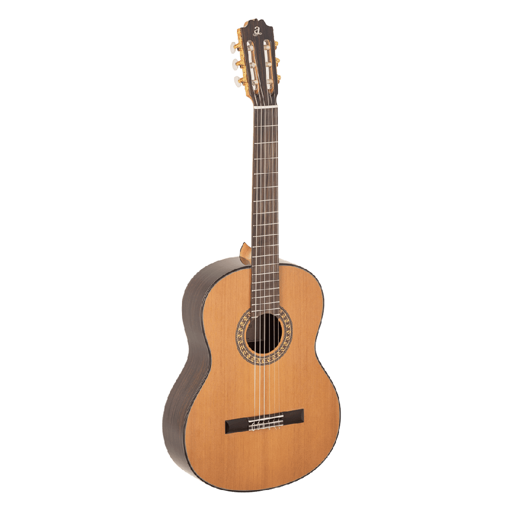 Guitarra Admira A-6