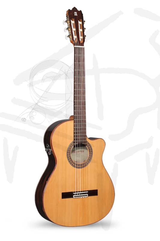 Guitarra Alhambra Iberia Ziricote Ctw E8