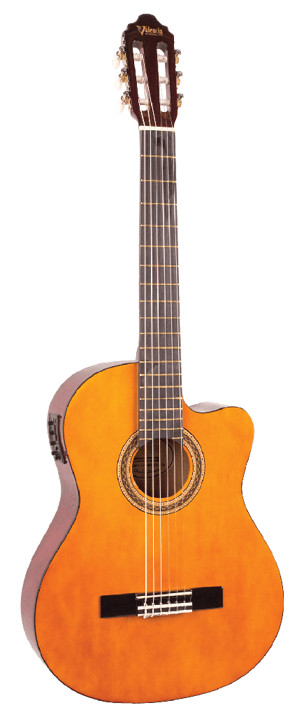Guitarra Valencia Vc-104Ce/Nat Natural