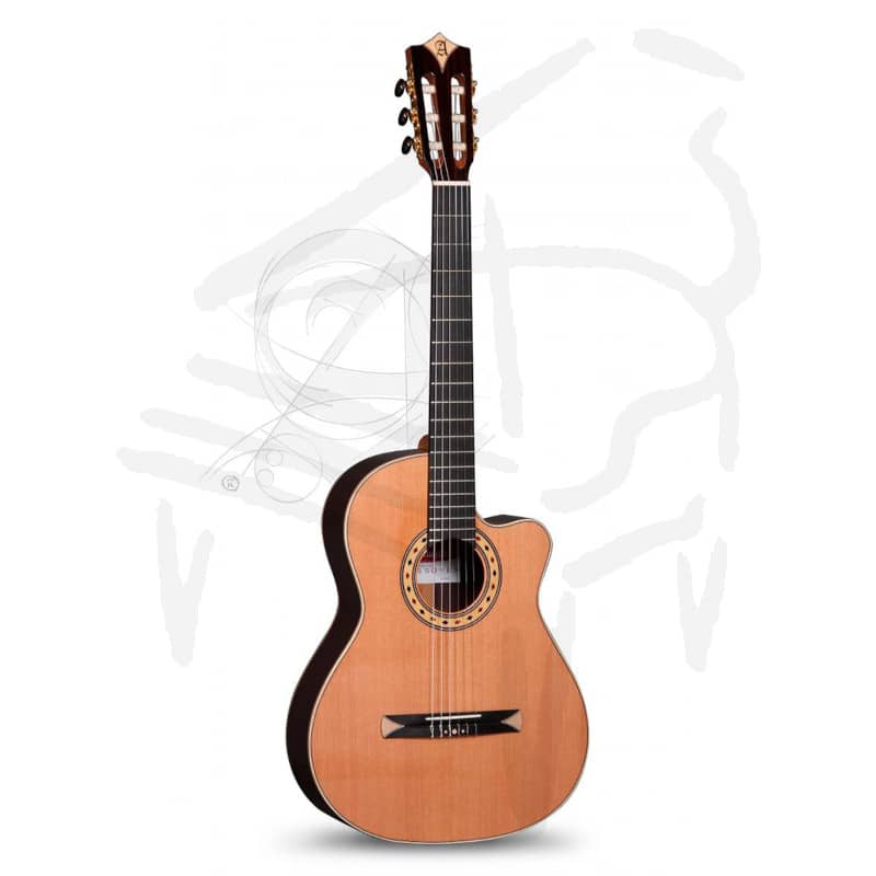 Guitarra Alhambra CS-3 CW E8 Crossover + Funda