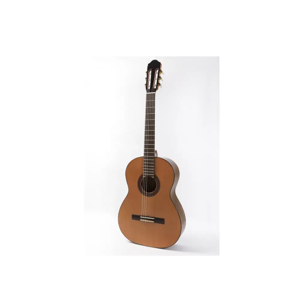 Guitarra Raimundo Mod. 120E