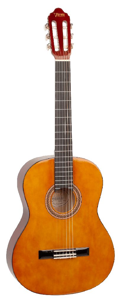 Guitarra Valencia Vc-104L/Nat Zurdo