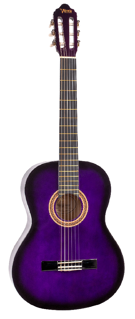 Guitarra Valencia Vc-104/Pps Morado