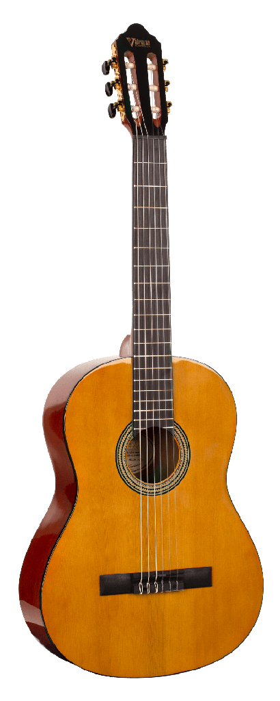 Guitarra Valencia VC-264/Nat 4/4 Natural