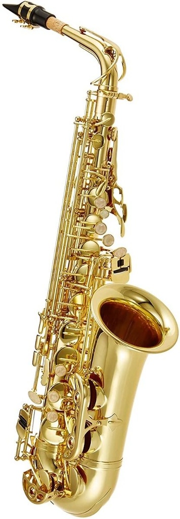 Saxo Alto J. Michael AL-500 Lacado