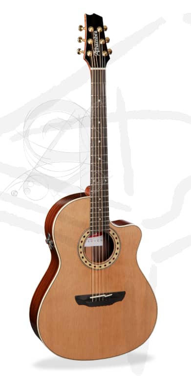 Guitarra Alhambra Css-3 Cw E9 Serie S