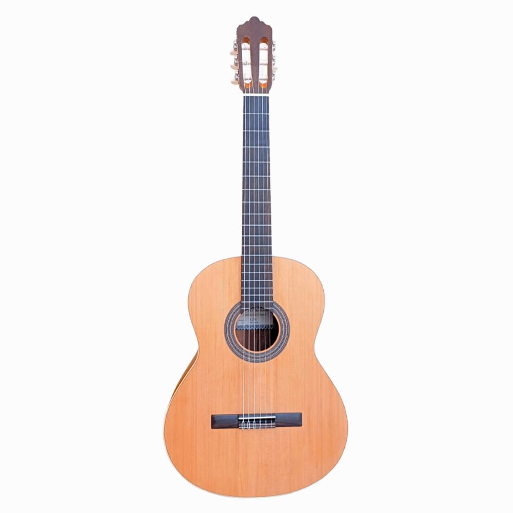 Guitarra Fernández FZN