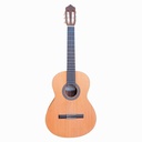 Guitarra Fernández Fzn