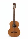 Guitarra Fernández 2C