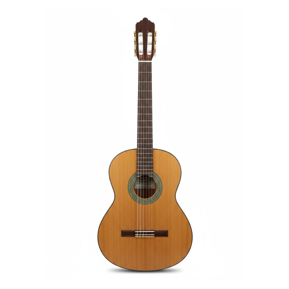 Guitarra Fernández 3C