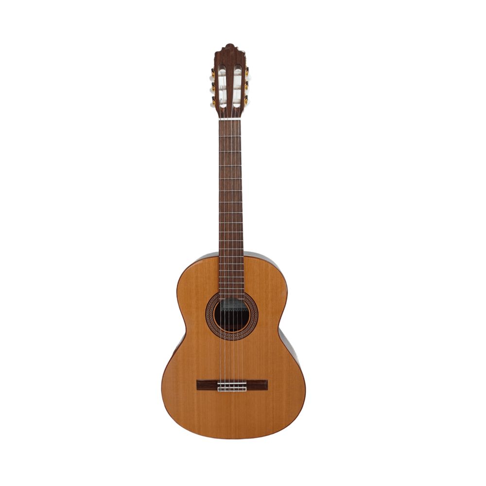 Guitarra Fernández 4P