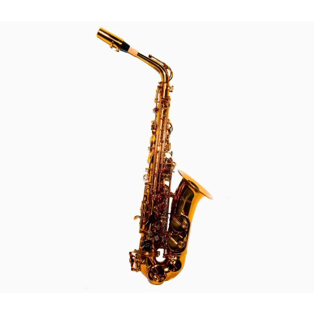 Saxo Alto Taylor Collins As1964-Ch Champagne