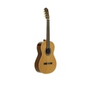 Guitarra Clásica Jose Torres Jtc-10