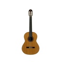 Guitarra Clásica Jose Torres Jtc-40