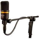 Micrófono De Condensador Gran Diafragma Audix A231