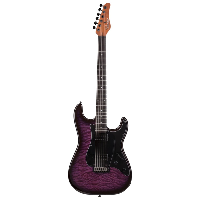 Guitarra Eléctrica Schecter Trad Pro Ebony Tpb