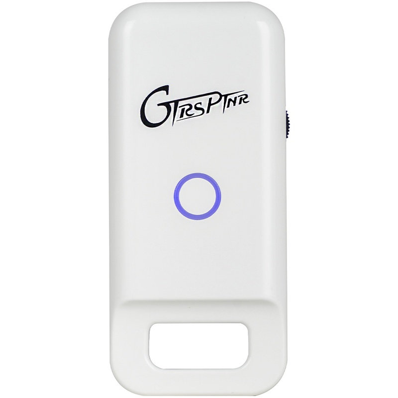 Receptor Wireless Mooer Gtrs Gwr4