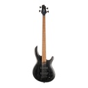 Guitarra Electroacustica Cort Artisan B4 Element Fl Opt