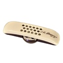 Pastilla Gitarra Acustica Lr Baggs Anthem Acust