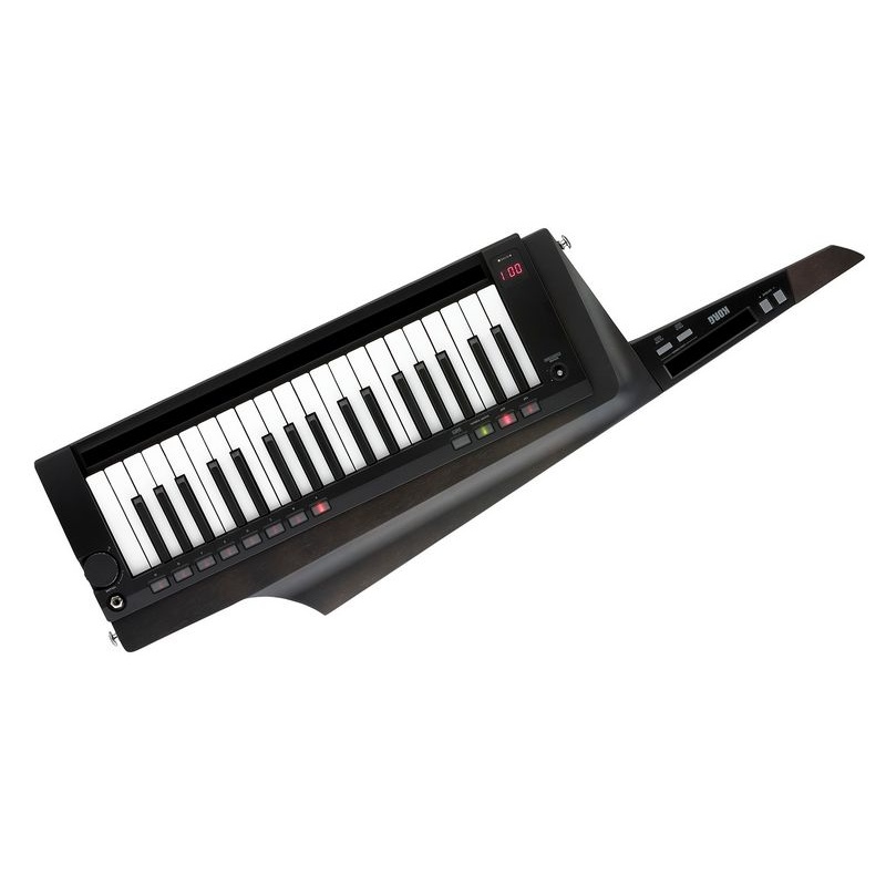 Teclado Keytar Korg Rk-100S 2 Bk